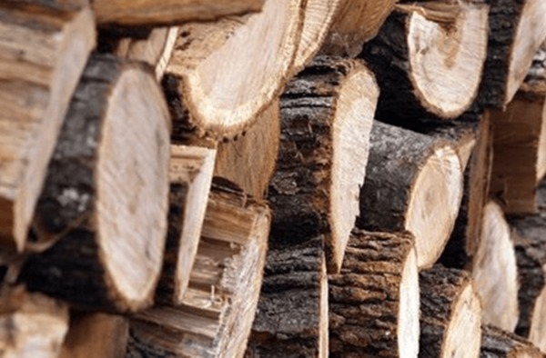 Մատենադարանի մոտ ծառեր են կտրում, որ տառերի դիմացը բացեն