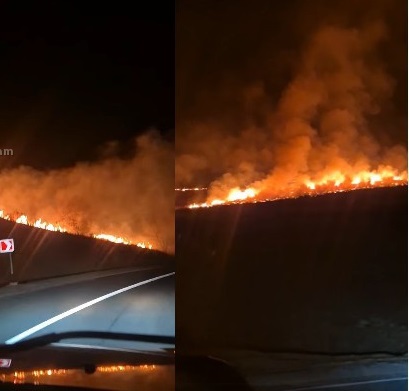 «Հակառակորդի անտառային հատվածից է ներթափանցել կրակը»․ Սյուզի Բադոյան