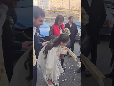 Երևանում հարսն ու փեսան իրենց ուսերին դրած լավաշից կերակրել են անտուն շանը